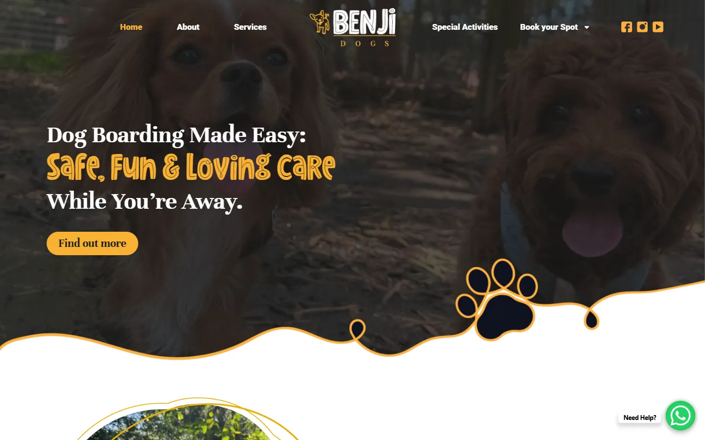 Benji Dogs en computador